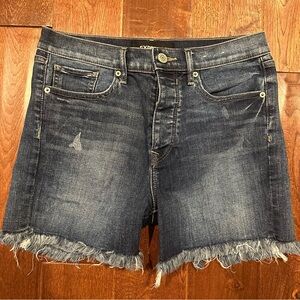 Express Jean Shorts